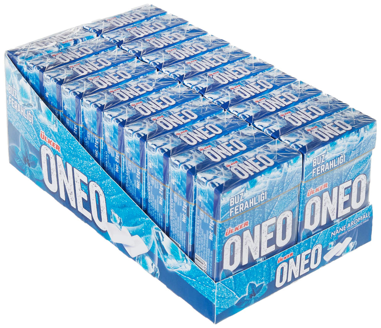 Refreshing Mint Flavored Gum Dragee - 1 Case - 160 Packs x 21g Each