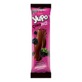 Gourmet Blackberry Chocolate Jelly Candy - 1 Case - 108 Packs x 20g Each