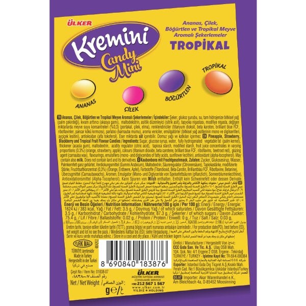Premium Assorted Mini Tropical Fruit Candy - 1 Case - 72 Packs x 30g Each