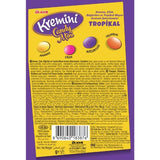Premium Assorted Mini Tropical Fruit Candy - 1 Case - 72 Packs x 30g Each