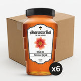 Premium Turkish Filtered Flower Honey - 6 x 850g - Aladdin Business